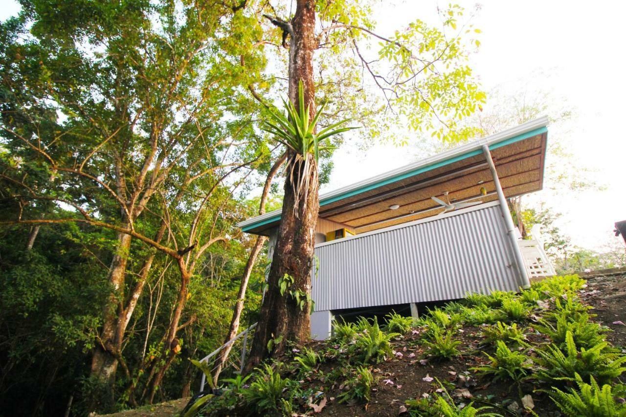 Teva Hotel & Jungle Reserve Vườn quốc gia Vườn quốc gia Manuel Antonio Ngoại thất bức ảnh