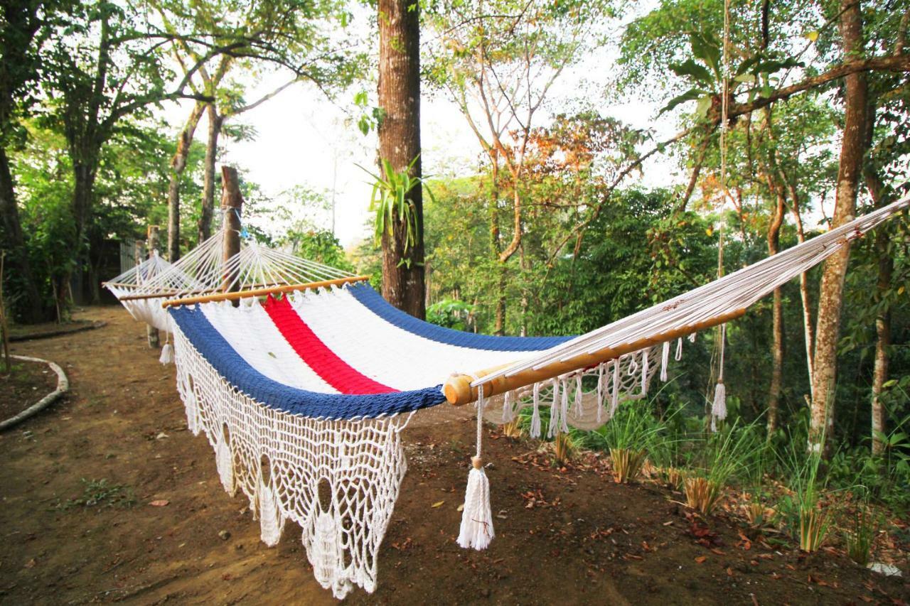 Teva Hotel & Jungle Reserve Vườn quốc gia Vườn quốc gia Manuel Antonio Ngoại thất bức ảnh