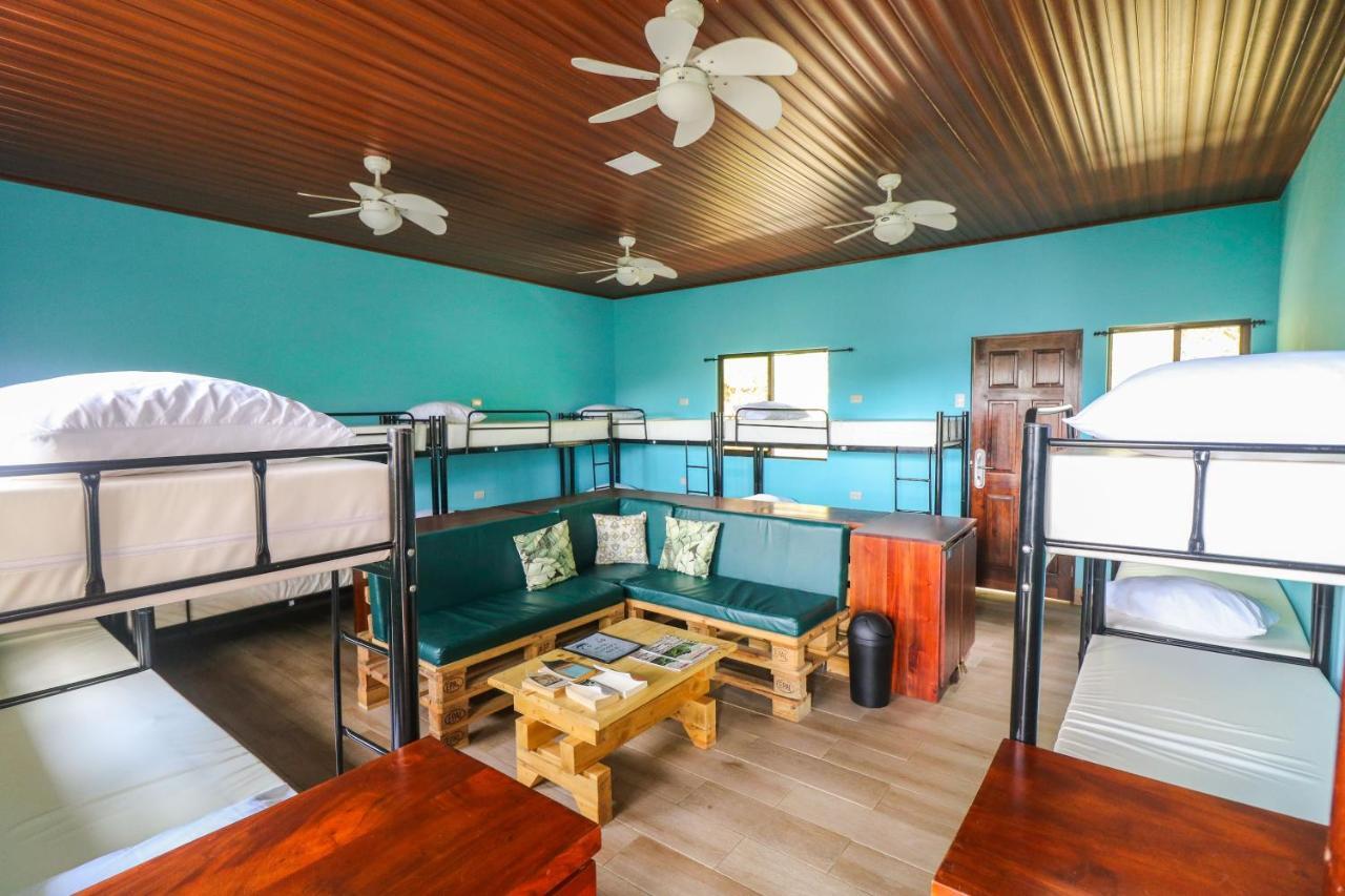 Teva Hotel & Jungle Reserve Vườn quốc gia Vườn quốc gia Manuel Antonio Ngoại thất bức ảnh